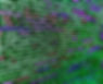 adobestock_479438574_optimized.jpeg