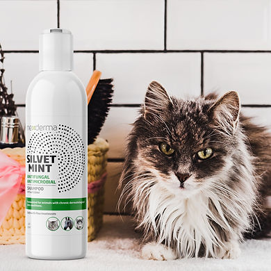 SILVET MINT ANTIMICROBIAL SHAMPOO LBL 4O
