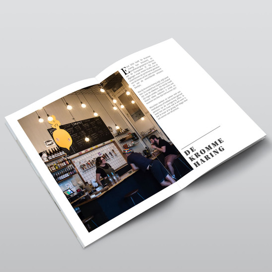 binnenkant-biergids-dekrommeharing-magaz