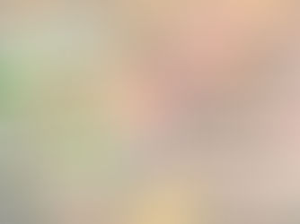 Saisonkalender November inkl. TCM Favoriten