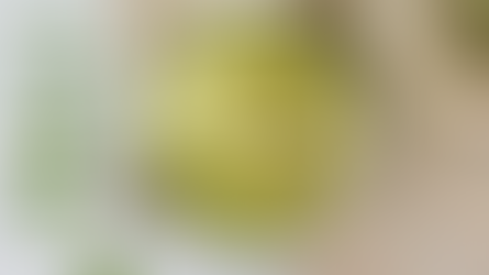 Erbsenhummus mit Hanfmus