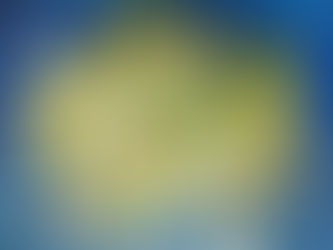 5 Kräuter für einen kühlen Kopf – Tag und Nacht