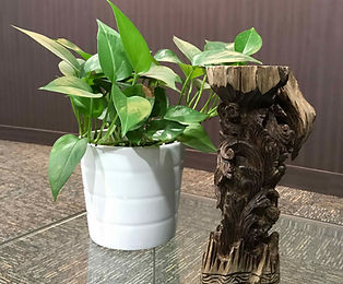 Oud Deco - Carving 02.jpeg