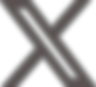 x-2 1.png