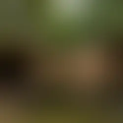 Escape to Hide-A-Way Hills: Your Ultimate Couples Retreat in Norfolk County This Summer