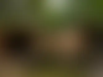 Escape to Hide-A-Way Hills: Your Ultimate Couples Retreat in Norfolk County This Summer