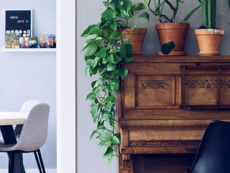 Accent Colors: Adding Pops of Interest