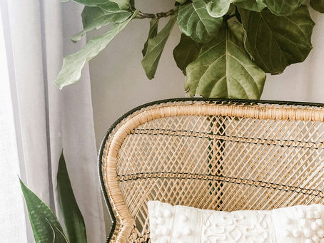 Neutral Tones: Creating Warmth and Sophistication