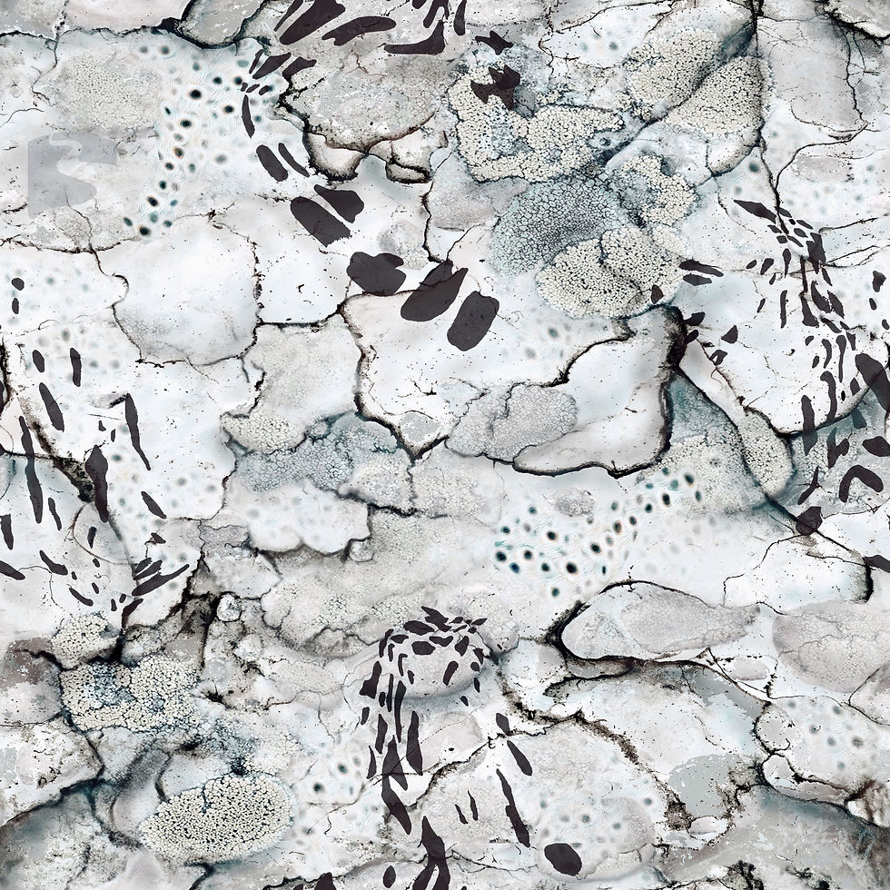 Prym1 Stream - White