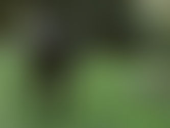 HuntMag.Eu Q&A with Prym1 Camo European Marketing Manager, Daniel Beardsmore.