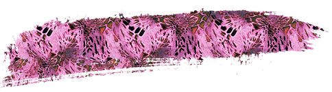 pinkout_stroke.png