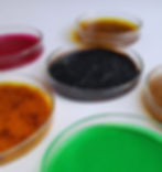 Laboratorio Sostenible Online
