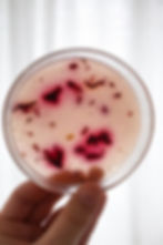 Laboratorio Sostenible Online