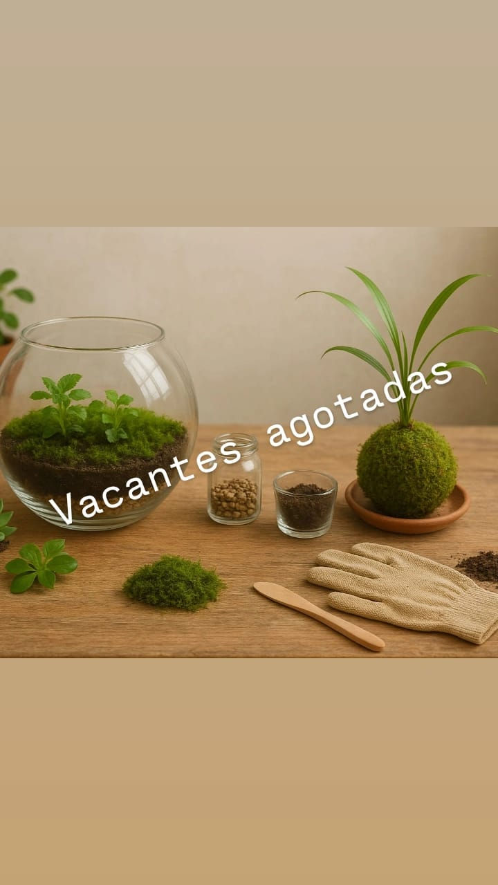 Terrarios & Kokedamas 