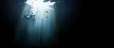 WMV_Still Falling.webp