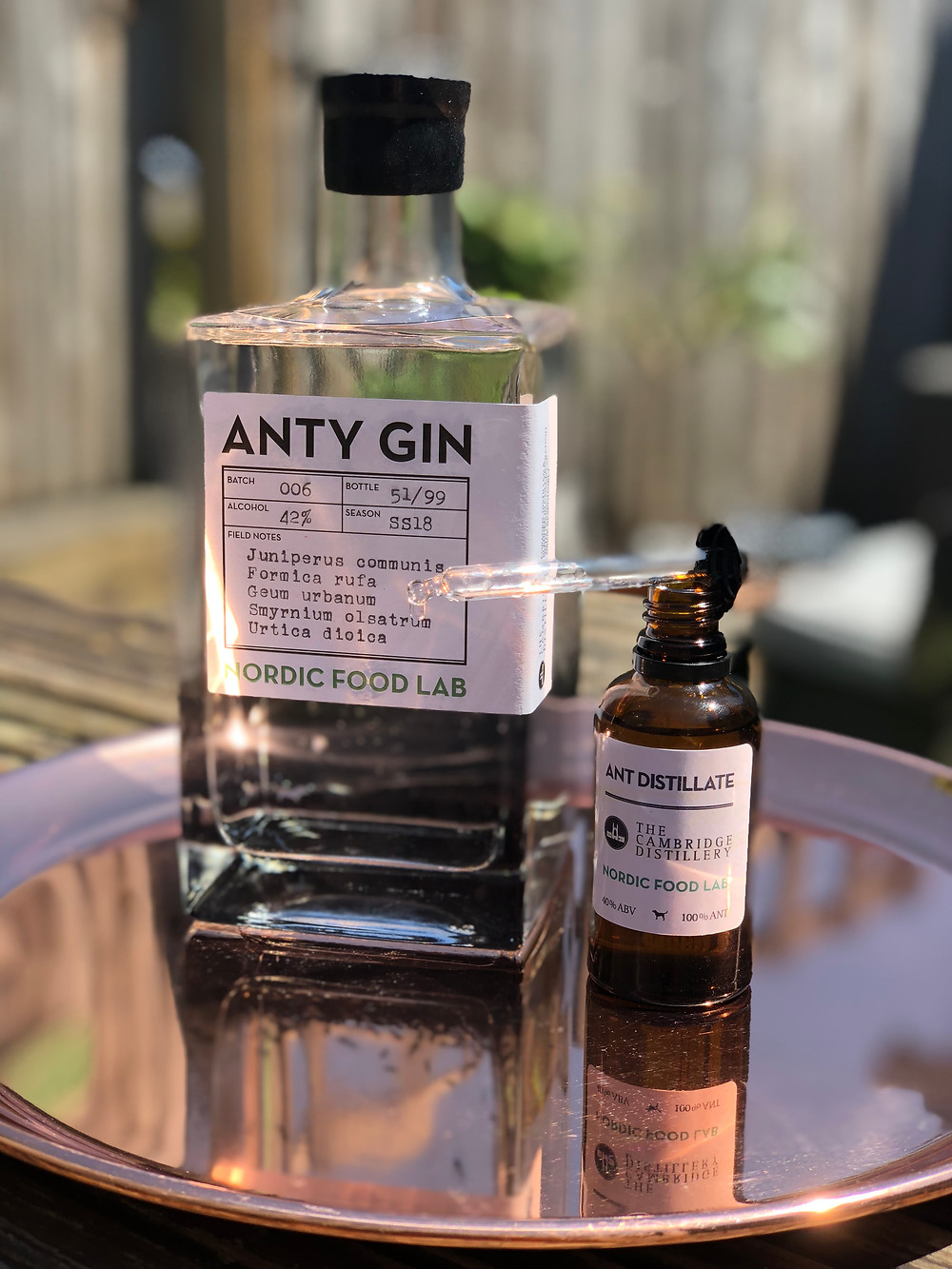 Anty Gin Blind Pig Heswall