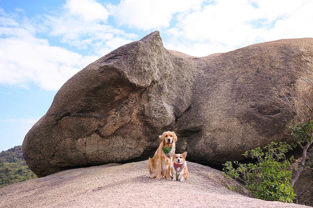 8 Funky Animal Rock Formations in Hong Kong