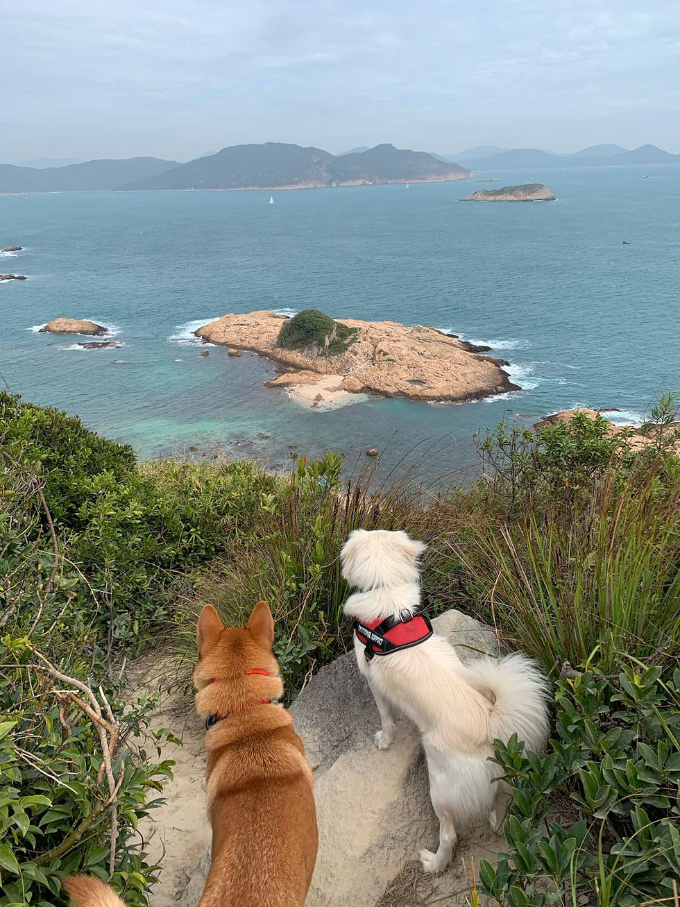 Move It for Mental Health 2024