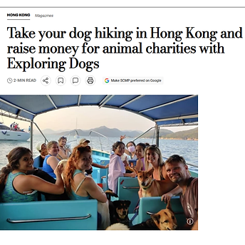 2nd SCMP feature.png