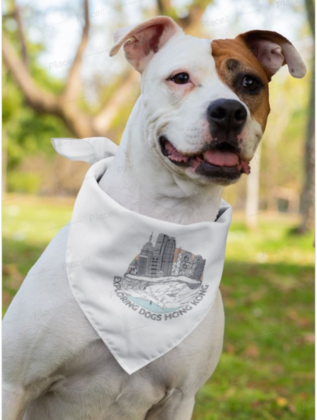 Reversible Dog Bandana