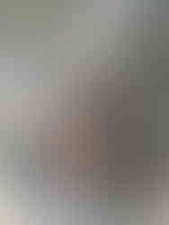 Scrabbling with dogs