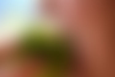 LES ALIMENTS QUI FAVORISENT UNE BONNE SANTÉ BUCCO-DENTAIRE