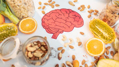 Le facteur neurotrophique jouerait un rôle dans la santé et longévité du cerveau