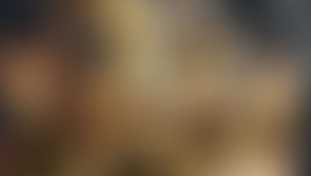 La WNBA est confrontée à une épidémie de jets de godemichés attribuée aux passionnés de crypto-monnaie.