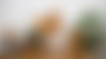 Conseils pour préparer la nouvelle maison pour le déménagement