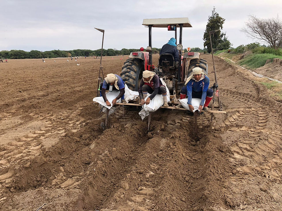 WhatsApp Image 2025-09-30 at 11.08.14 AM (7)