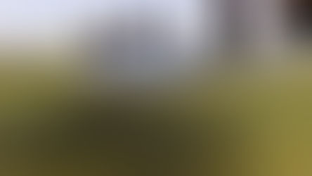 Restes du nageur retrouvés après une attaque de requin au large des côtes méditerranéennes d'Israël