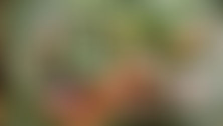 Les aliments qui aident à combattre l'hypertension