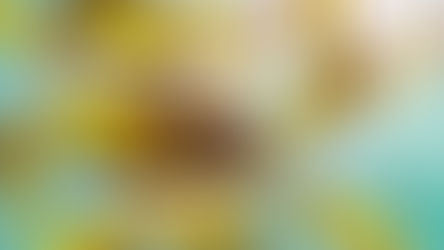 Les "bactéries mangeuses de chair" ont fait une deuxième victime dans le comté de la baie en 2025 ; la cinquième en Floride.