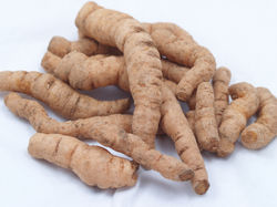 Rehmannia Chinensis Root Extract