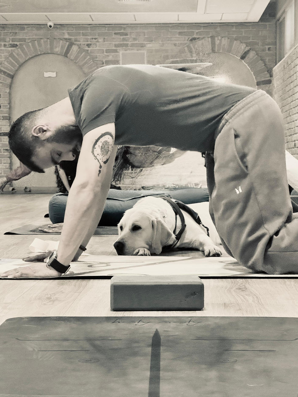 העוגן שלי על ארבע: יומן מסע אח ליוגה