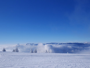 P1010091.jpg