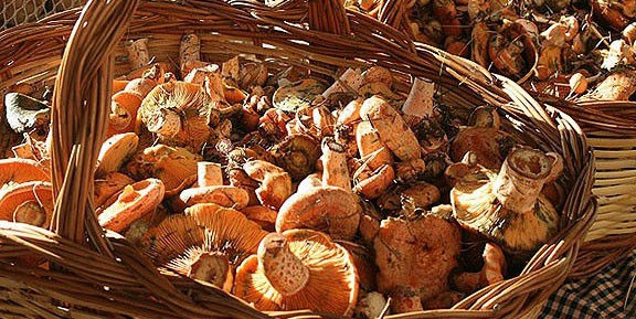 Fira del Bolet - Pobla Lillet