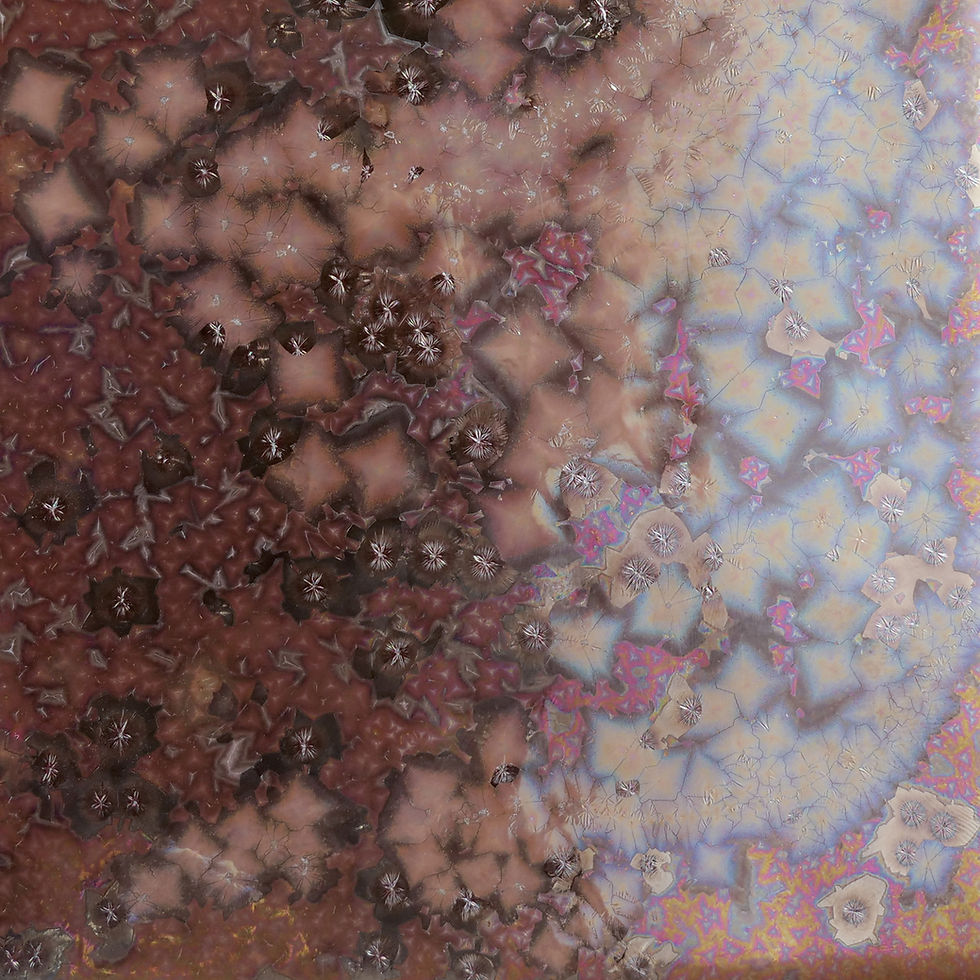 AMACO Cosmos - CO-14 Solar Rainbow