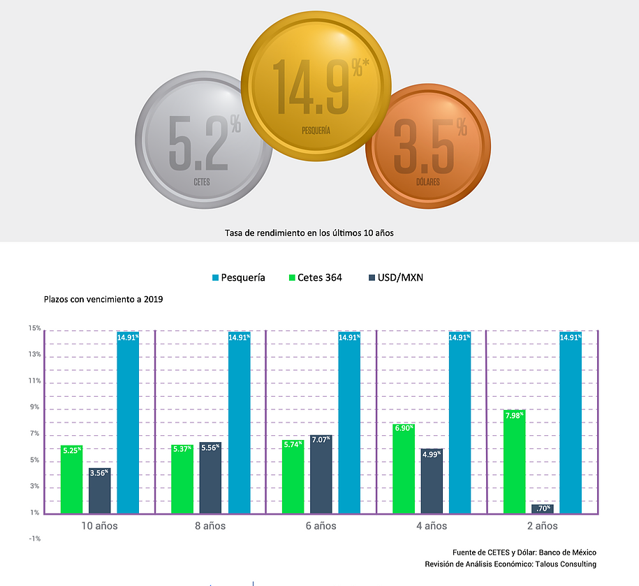 Screen Shot 2020-05-31 at 11_43_17.webp