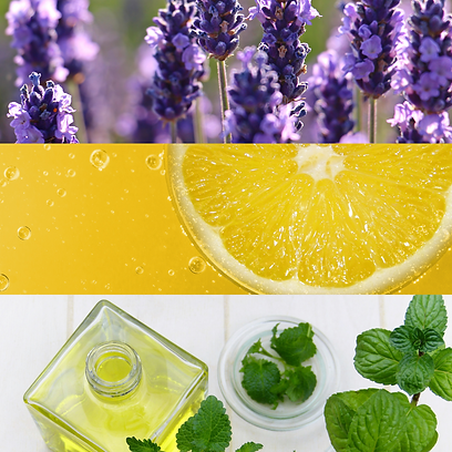 Untitled design (4).png