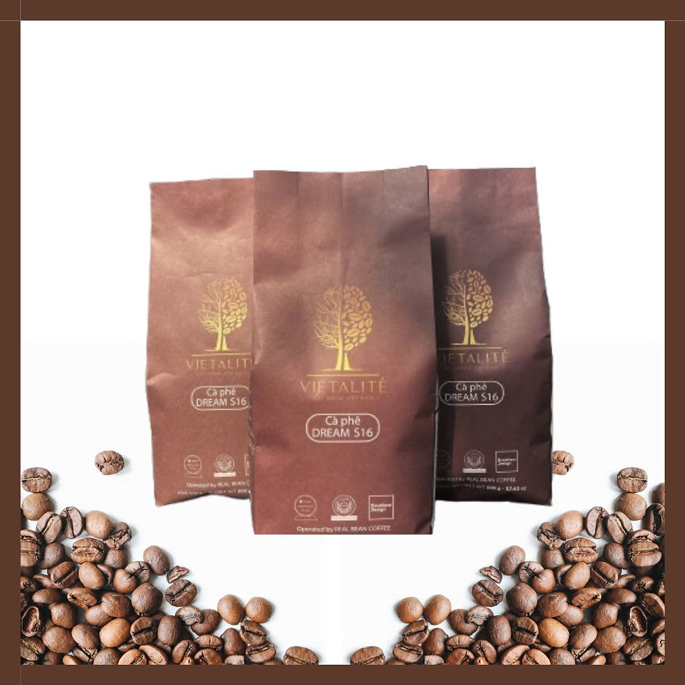 Hình thu nhỏ: Cà phê DREAM S16 - VIETALITÉ 500g