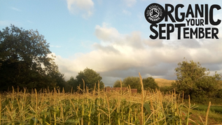 Screen bites lands at Gold Hill Farm this Organic September