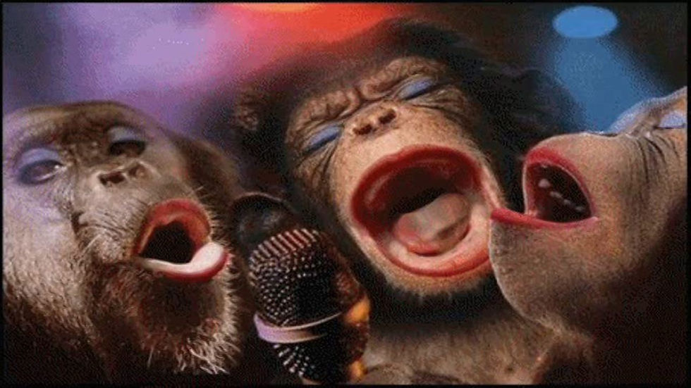 Les%20singes%20rient_edited.jpg