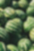 Fresh Watermelons