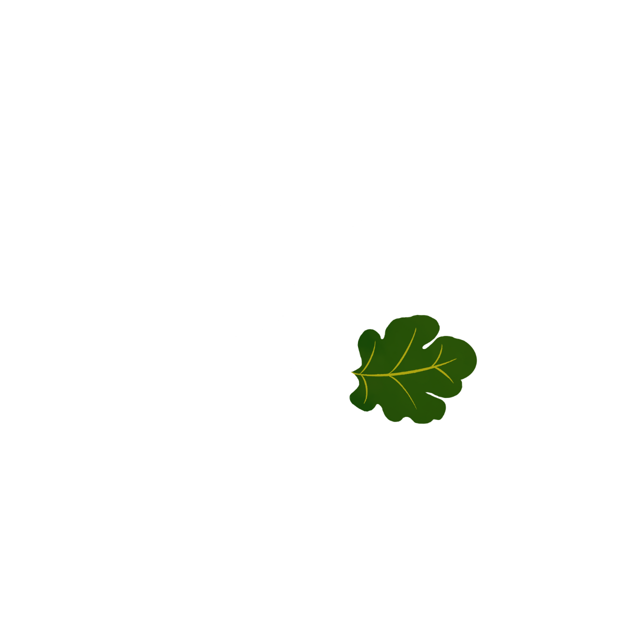 Writer: Good Fig Network