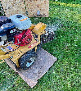 SNB Grounds Care - Stump Grinding3.jpg
