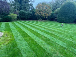 Grass Cutting Sleaford