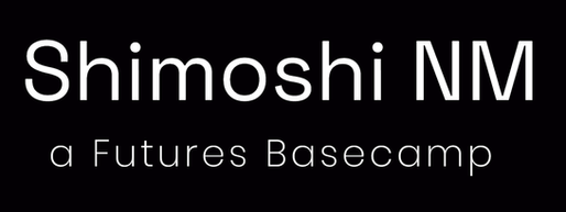 November Member Spotlight: Shimoshi