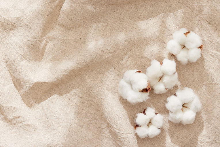 cotton patern.jpg