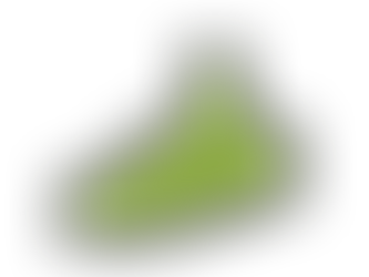 夏がやってきた